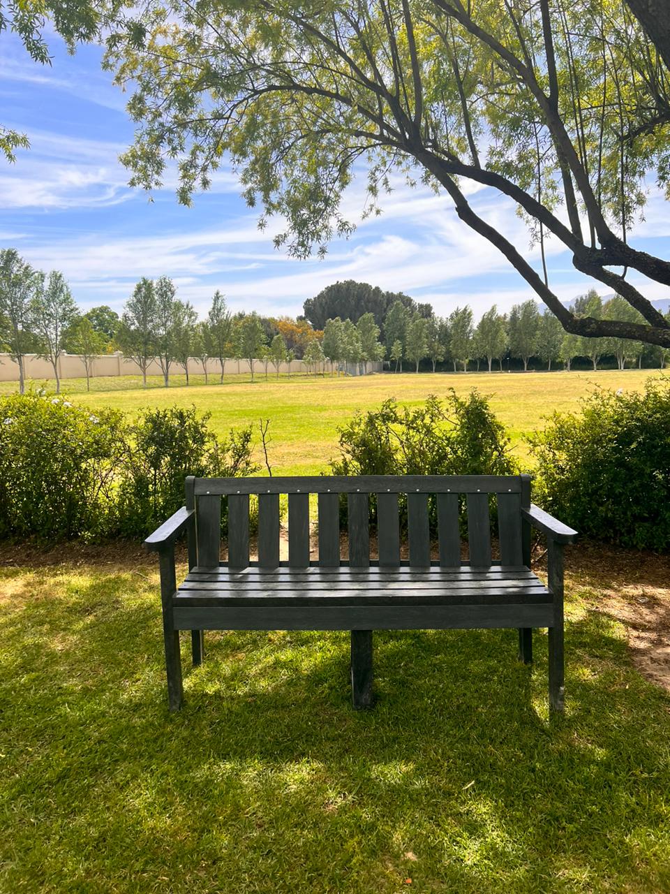 Park benches